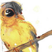 Goldfinch Art Print