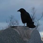 Gothic Blue Sky And Crow Art Print