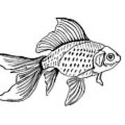 Graphic Fish Art Print
