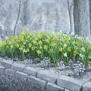 Grayscale Daffodils Art Print