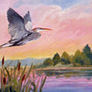 Great Blue Heron At Dawn Art Print