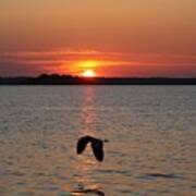Great Blue Heron Flying Through Sunset Art Print