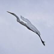 Great Egret Elegance On A Cloudy Day Art Print