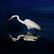 Great Egret-self Reflections Art Print
