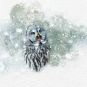 Great Grey Owl In Snowstorm Art Print