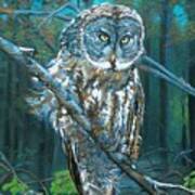 Great Grey Owl Art Print