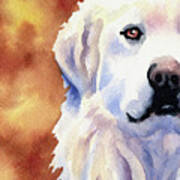 Great Pyrenees Art Print