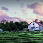 Green And Magenta Farm Sunset Art Print