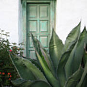 Green Door Art Print