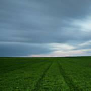 Green Field And Cloudy Sky Art Print