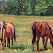 Green Pastures - Horses Grazing In A Field Art Print