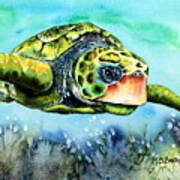 Green Turtle Art Print