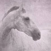 Grey Horse - Pink Blush Texture Print by Michelle Wrighton