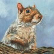 Grey Squirrel Art Print
