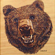 Grizzly 5 Art Print