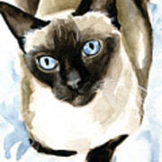 Guardian Angel - Siamese Cat Portrait Art Print