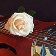 Guitar And Rose 3 Art Print