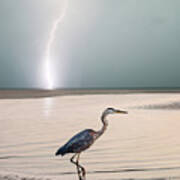 Gulf Port Storm Art Print