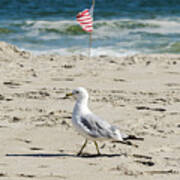Gull And Flag Rockaway Beach Art Print