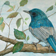 Hainan Blue Flycatcher Art Print