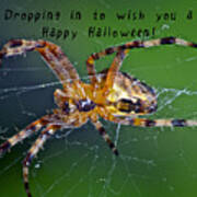 Halloween Spider Art Print