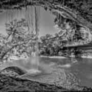 Texas Oasis Black And White Art Print