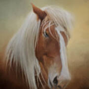 Handsome Belgian Horse Art Print