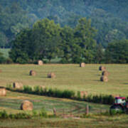 Harvest Art Print