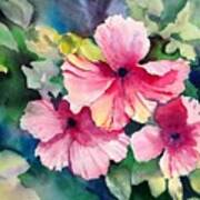 Hawaiian Hibiscus Art Print