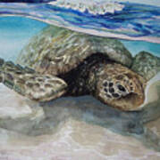 Hawaiin Turtle Art Print