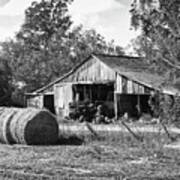 Hay And The Old Barn - Bw Art Print