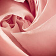 Heart Of A Rose In Pink Art Print