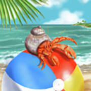 Hermit Crab On A Beachball Art Print