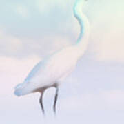 Heron Or Egret Stance Art Print