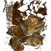 Hibiscus S D Z 2 Earthy 3 Dimensional Art Print
