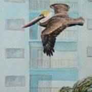 High Rise Pelican Art Print