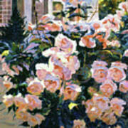 Hollywood Cottage Garden Roses Art Print