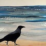 Hooded Crow At The Black Sea By Dora Hathazi Mendes Art Print