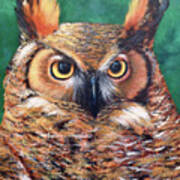 Horned Owl Art Print