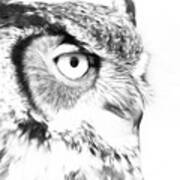Horned Owl Pen And Ink Art Print