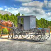 Horse And Buggy Art Print