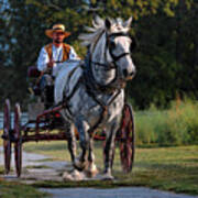 Horse And Buggy Art Print