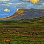 Horse And Sky Art Print