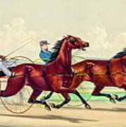 Horse Carriage Race Art Print