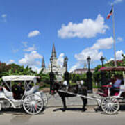 Horse Carriages Art Print