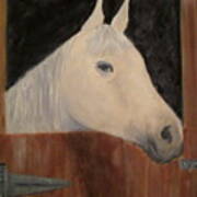 Horse In Stall Art Print