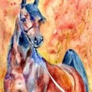 Horse On The Orange Background Art Print