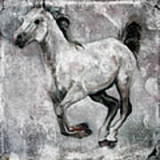 Horse Painting Stallion Lipizzaner Art Print