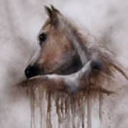Horse Shy Art Print