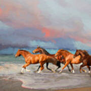 Horses At The Beach Art Print